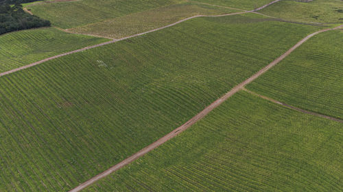 High angle view of soccer field