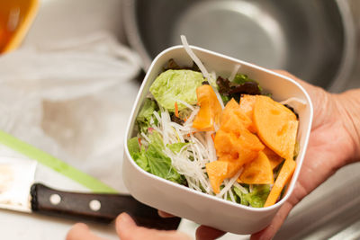 Close-up of person holding food in bowl