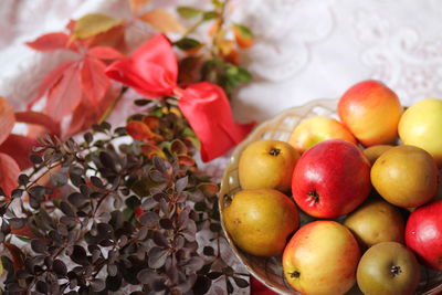High angle view of apples on plant