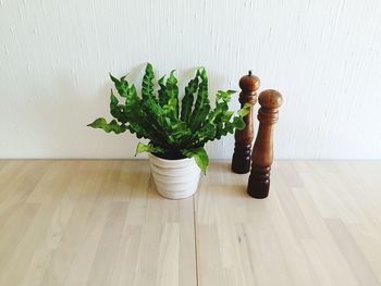 High angle view of potted plant by wooden salt and pepper shaker on table