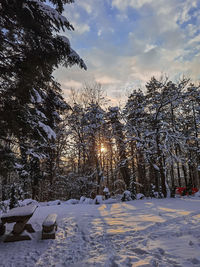 Snow covered field against sky during winter