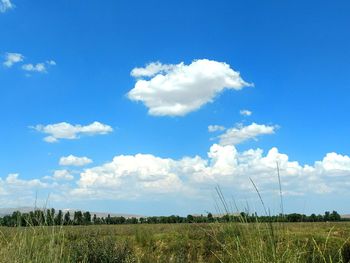 Scenic view of field against blue sky