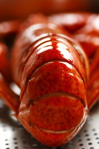 Close-up of food