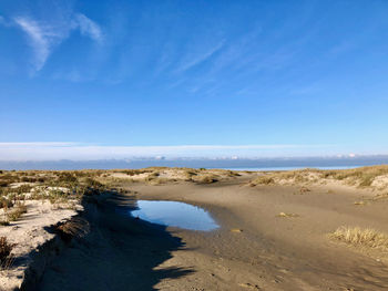 Scenic view of beach against blue sky