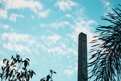 Low angle view of silhouette plants against sky