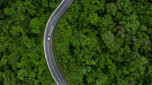 High angle view of bridge over road in forest