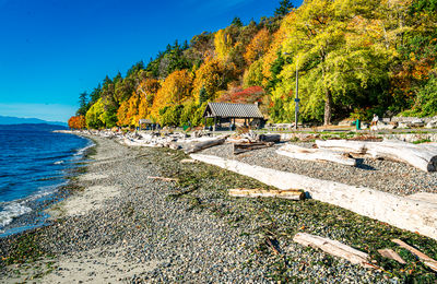 Scenic view of beach against clear blue sky