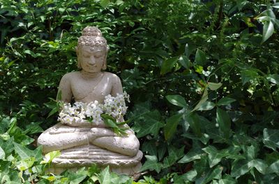 Buddha statue with flowers in middle of plants