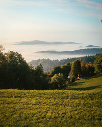 nature