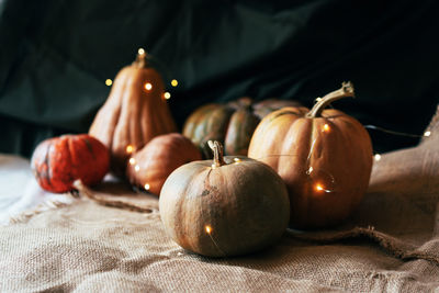 Several large textured ripe pumpkins in a still life with a garland. thanksgiving concept.