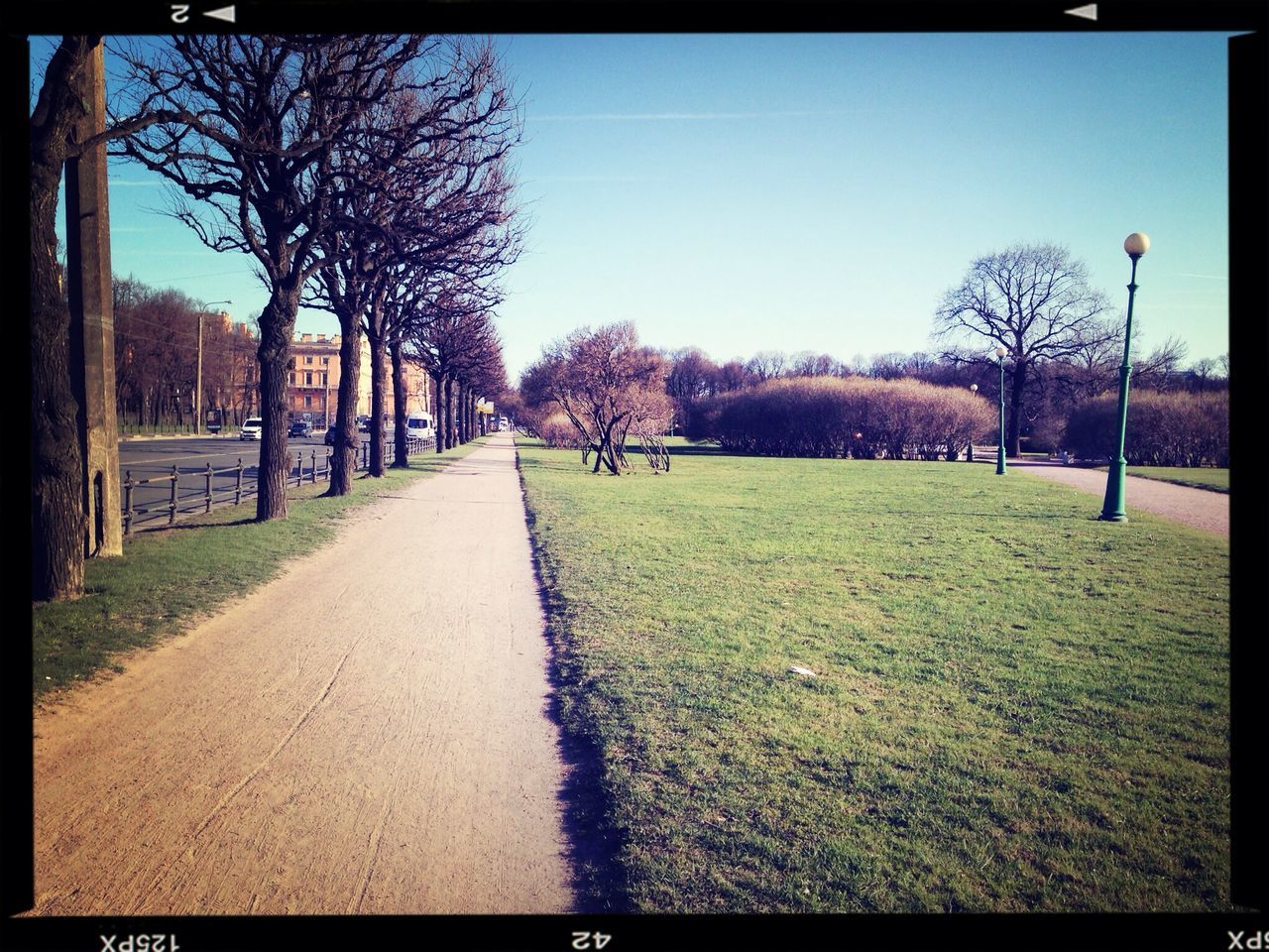 transfer print, tree, the way forward, grass, diminishing perspective, auto post production filter, bare tree, clear sky, sky, vanishing point, footpath, treelined, road, field, park - man made space, tranquility, sunlight, transportation, fence, empty