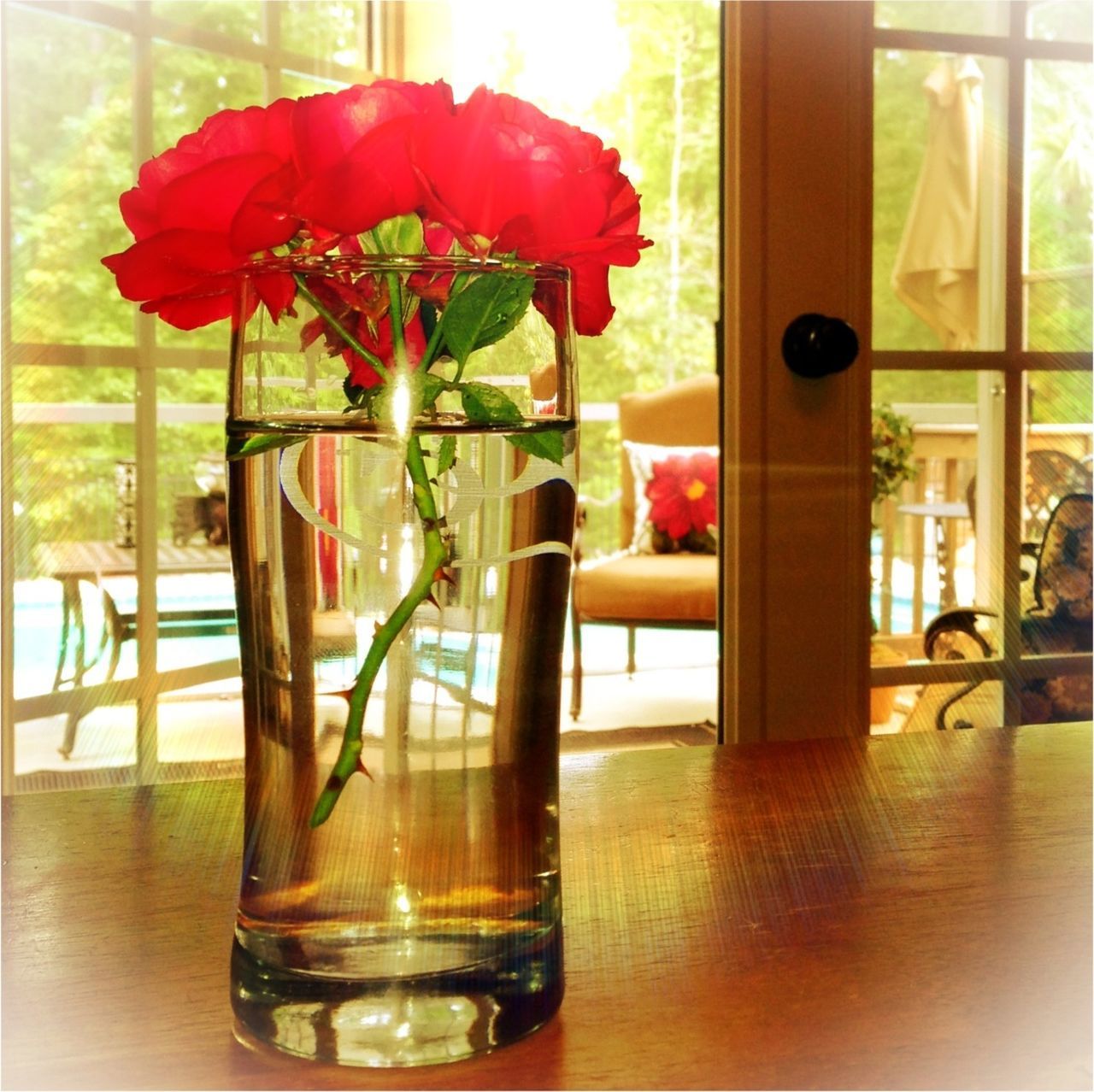 indoors, window, flower, vase, table, glass - material, home interior, transparent, potted plant, window sill, chair, fragility, curtain, freshness, flower pot, glass, house, decoration, red, flower arrangement