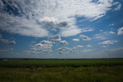 Scenic view of field against sky