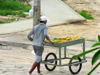 Rear view of man riding bicycle