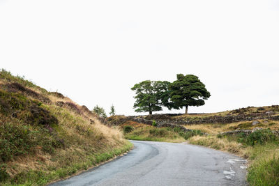 Road amidst trees against clear sky