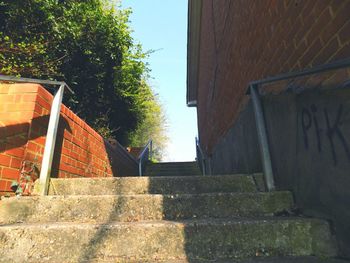 Low angle view of steps by trees against sky