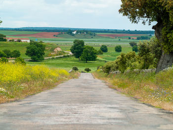 Road amidst field against sky