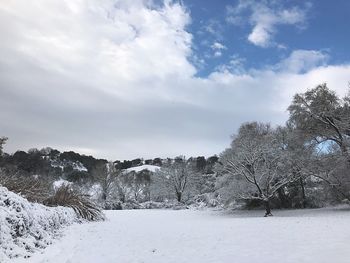 Trees on snow covered landscape against sky