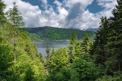 Scenic view of lake in forest against sky