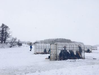 Scenic view of snow covered trees against sky