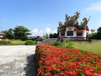 Red flowering plants against blue sky