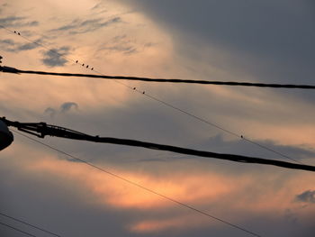 Low angle view of silhouette birds against sky during sunset