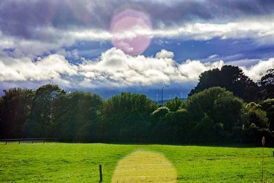 Scenic view of field against sky