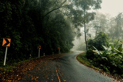 Road amidst trees in city during rainy season