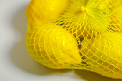 Close-up of yellow leaf over white background
