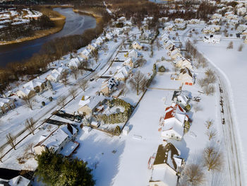 High angle view of snow covered plants by trees