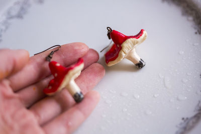 Close-up of hand holding red rose