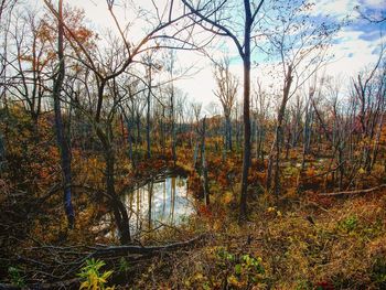 Scenic view of lake in forest during autumn