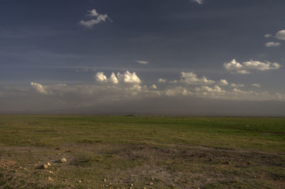 Scenic view of field against sky