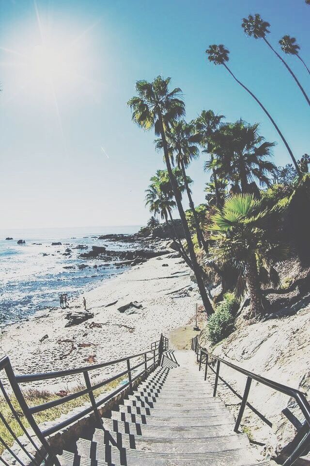 sea, water, beach, horizon over water, sunlight, tranquility, tranquil scene, scenics, beauty in nature, the way forward, sky, nature, shore, sand, sunny, sun, clear sky, incidental people, tree, vacations