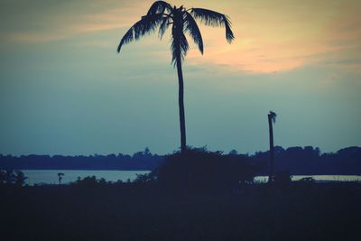 Silhouette palm trees against sky during sunset