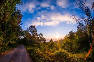 Road amidst trees against sky during sunset