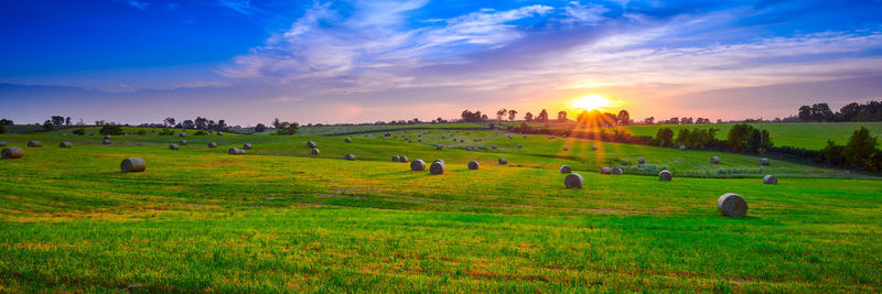 Round hay bails in a field at sunset.