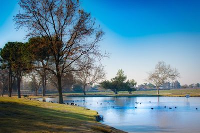 Scenic view of sea against blue sky