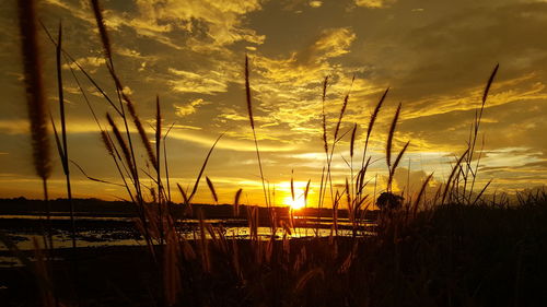 Scenic view of landscape against sky during sunset