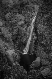 Waterfall in forest