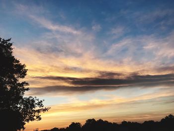 Silhouette trees against sky at sunset