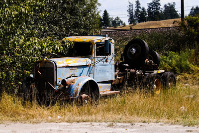 Horse cart on field against trees