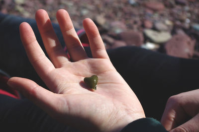 Cropped image of woman holding heart shape seaweed on palm at beach