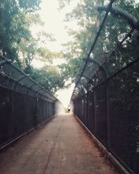 Footpath amidst trees in city