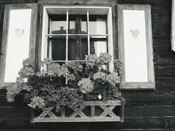 Window of house