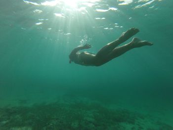 Fish swimming in sea