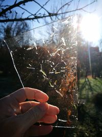 Close-up of hand holding glass