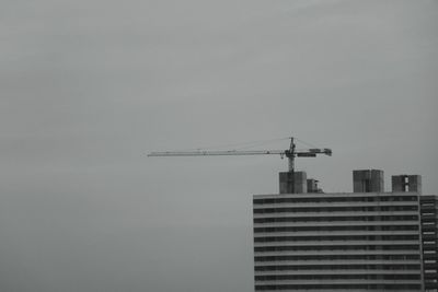 Low angle view of crane against sky