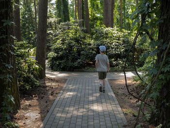 Boy is walking between the shades of the trees in the botanical garden. young lover of nature