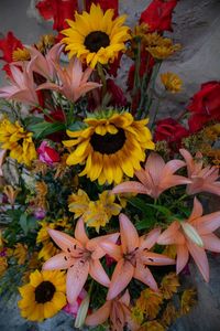 High angle view of yellow flowering plant